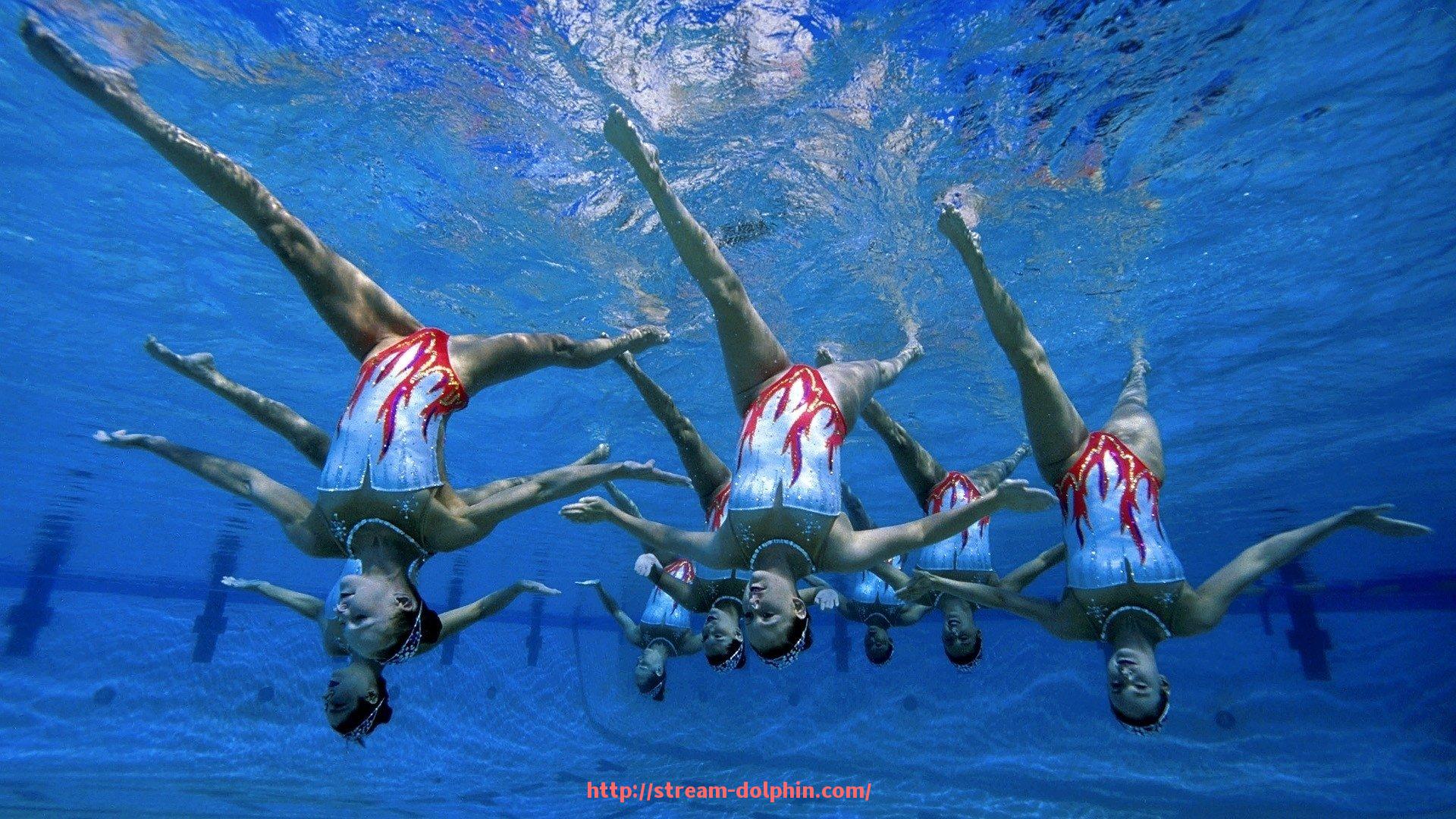 海豚直播-北京所有健身器材公司名单及体育产品服务