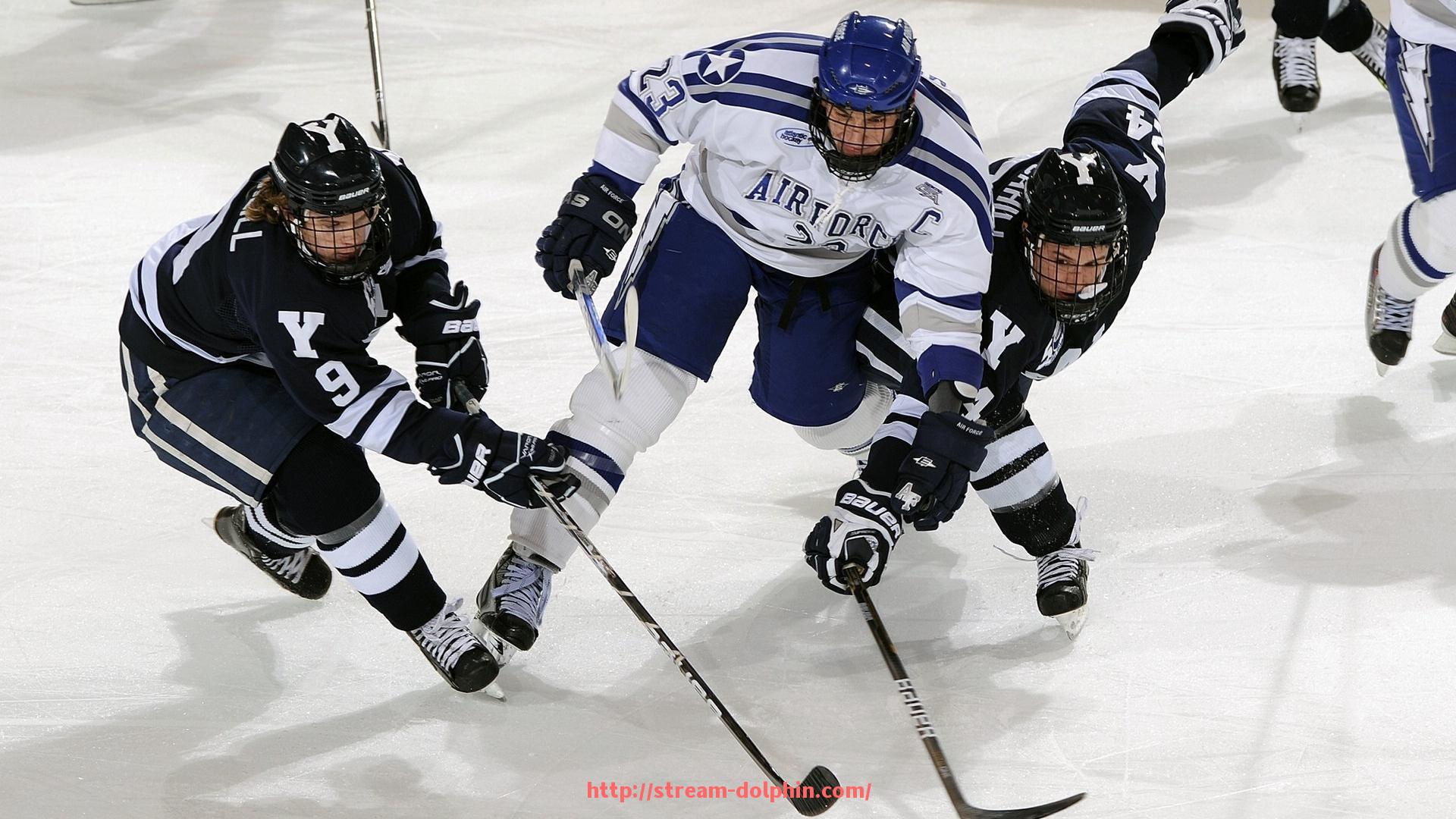 海豚直播-室内可放什么健身器材?体育健身空间规划方案