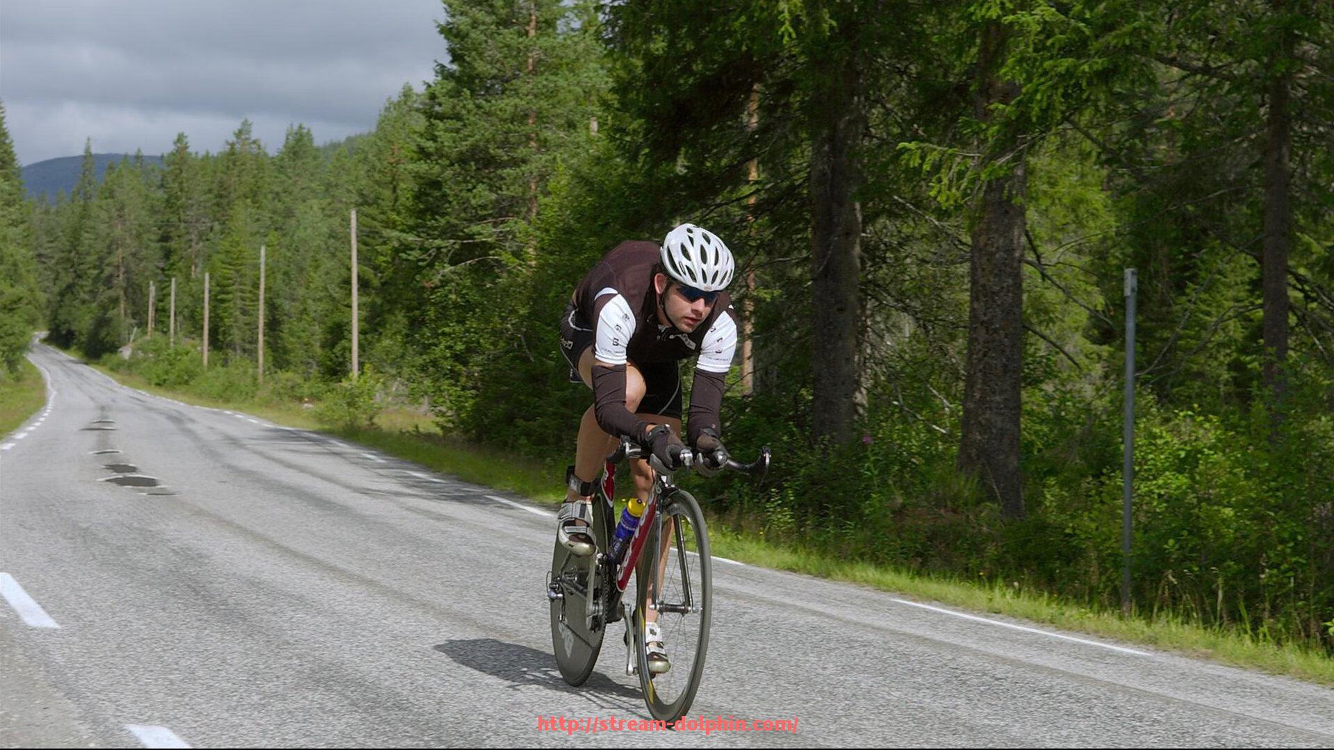 海豚直播-欧冠免费回放资源推荐及版权问题探讨
