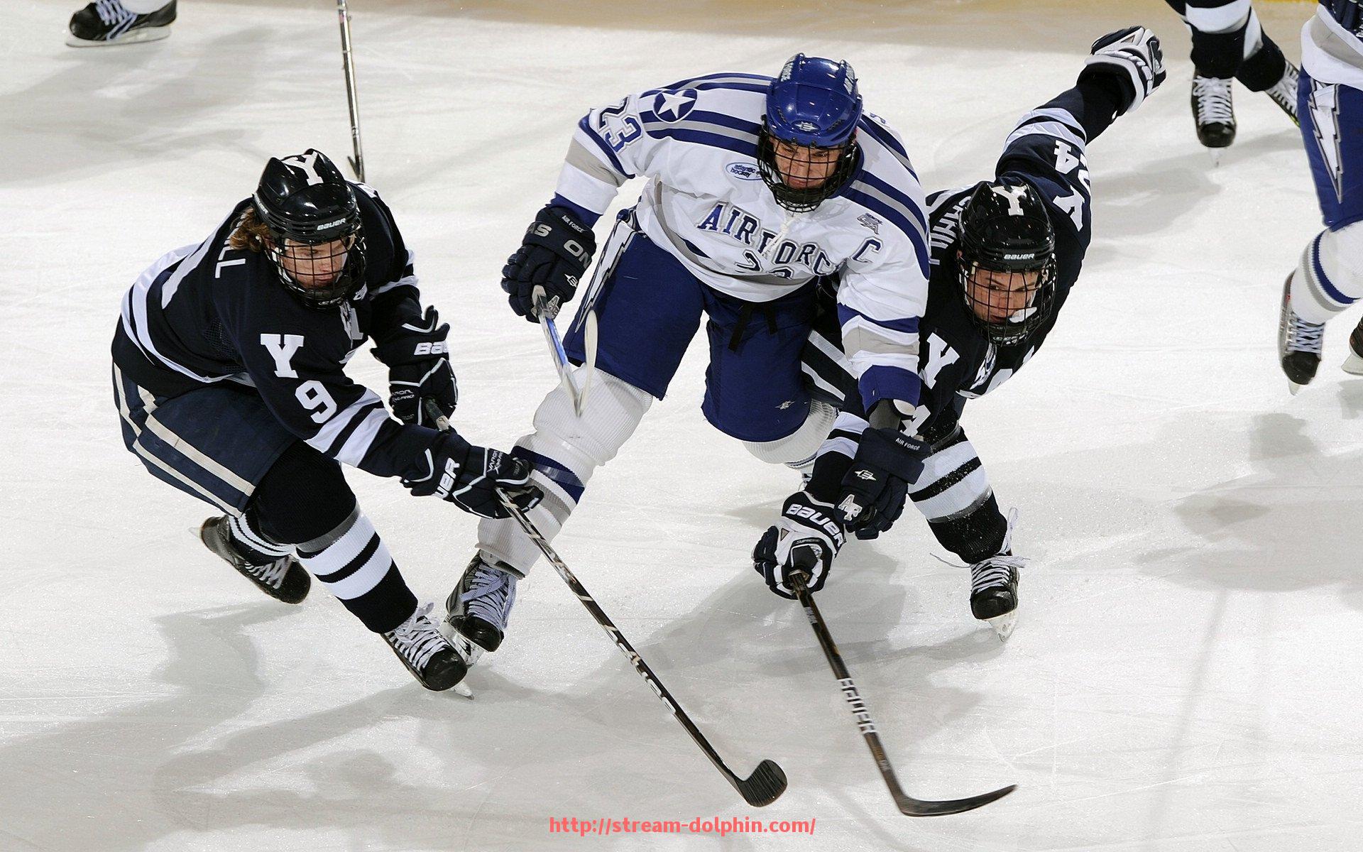 海豚直播-福建CBA球队所在城市及主场介绍